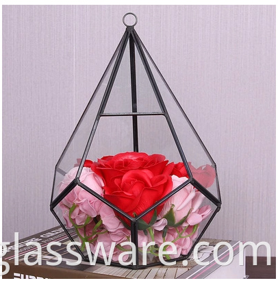 High Quality Glass Plants Terrarium